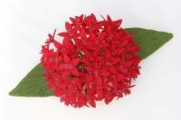 Pentas